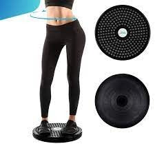 ABS Twister And Waist Twisting Disc